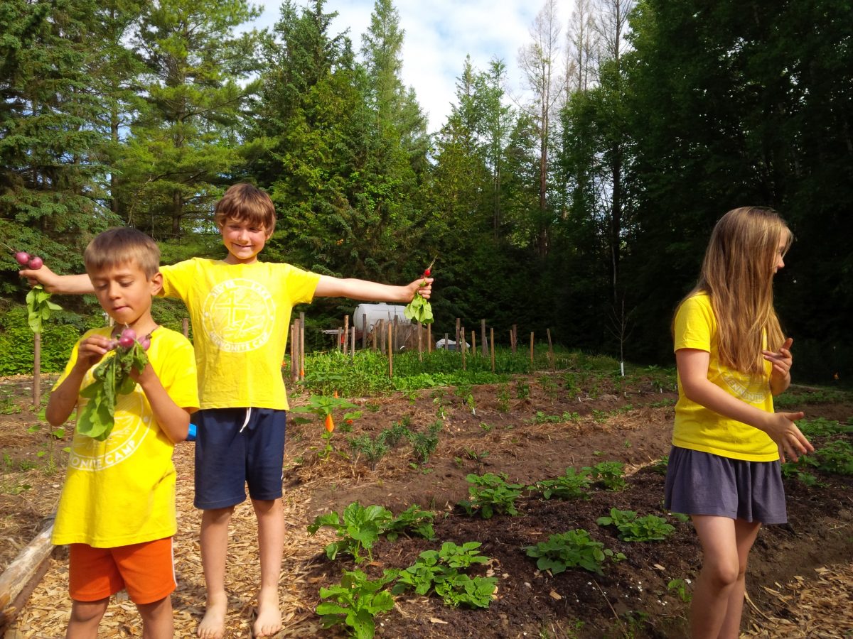 Check out the Camp Garden! Silver Lake Mennonite Camp