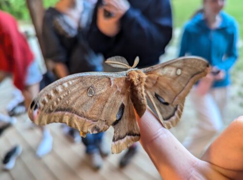 We Belong To Each Other