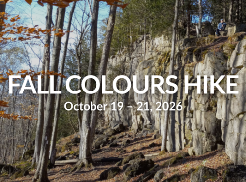 Weekday Wanders: Fall Colours Hike